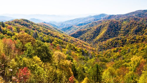 Fall colors in the Smoky Mountains National Park 1600x900