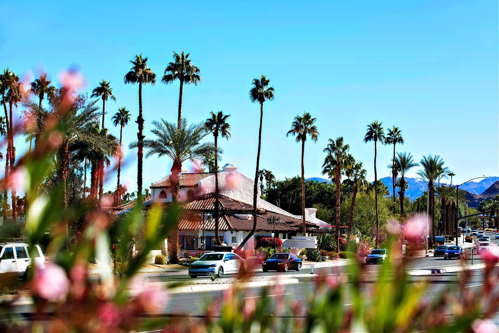 Flower and palm framed view of the downtown area of Rancho Mirage, California, USA.