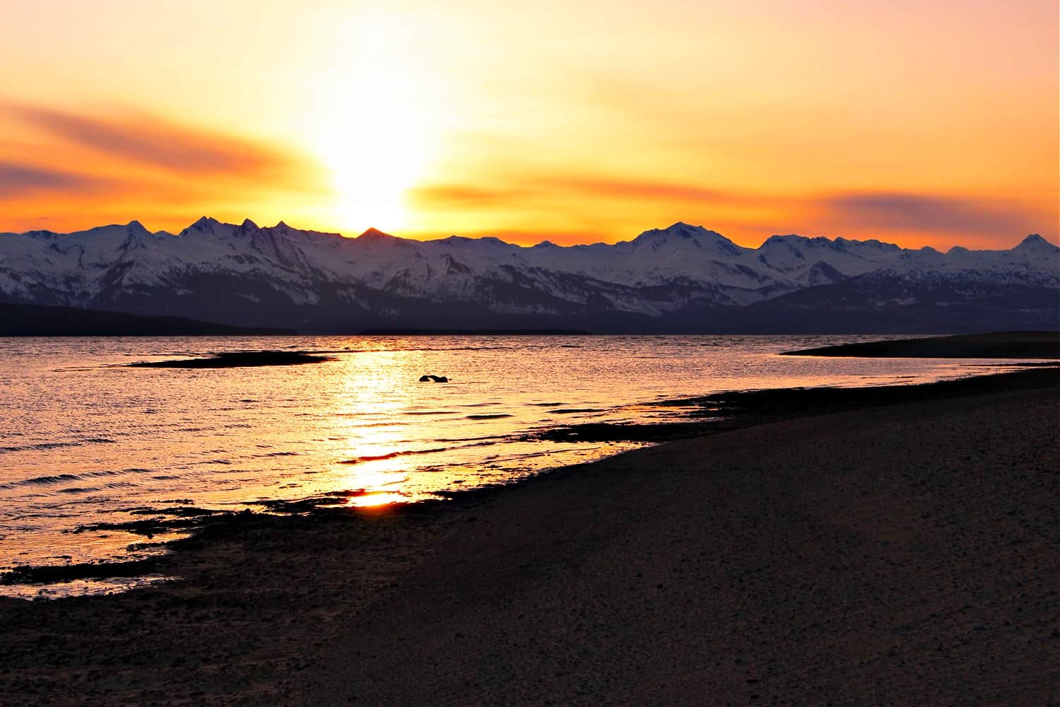 Gorgeous sunset on the Chilkat Mountain Range across Lynn Canal from Eagle Beach near Juneau, Alaska