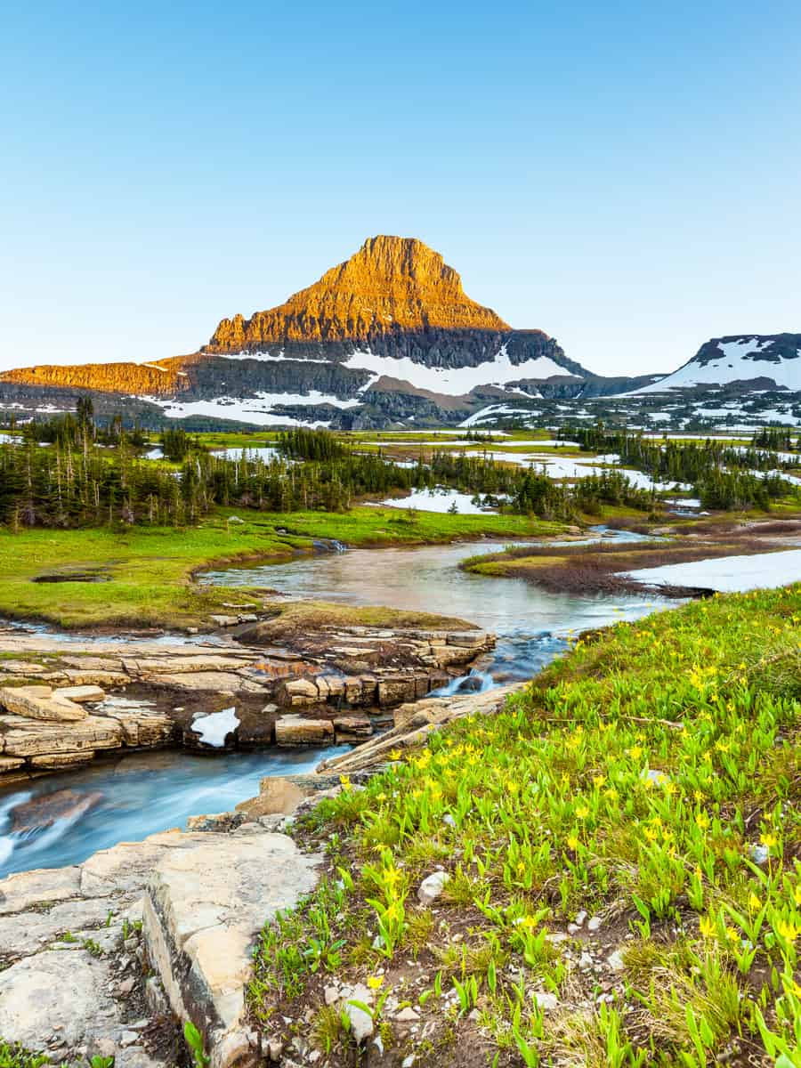 Logan Pass, Glacier National Park, MT in early summer