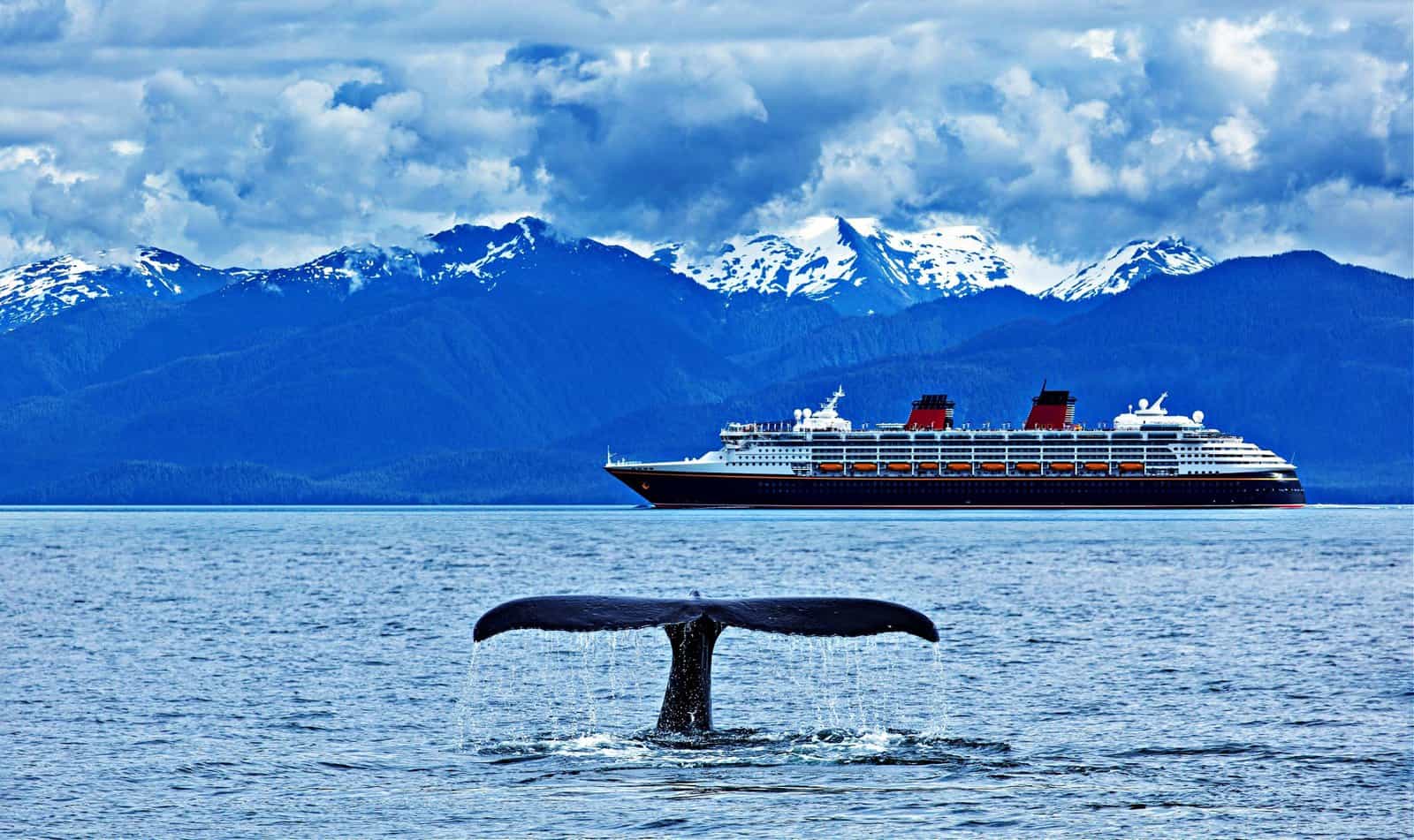 The whale shows the tail on cruise liner and snow mountains background, Alaska, the USA