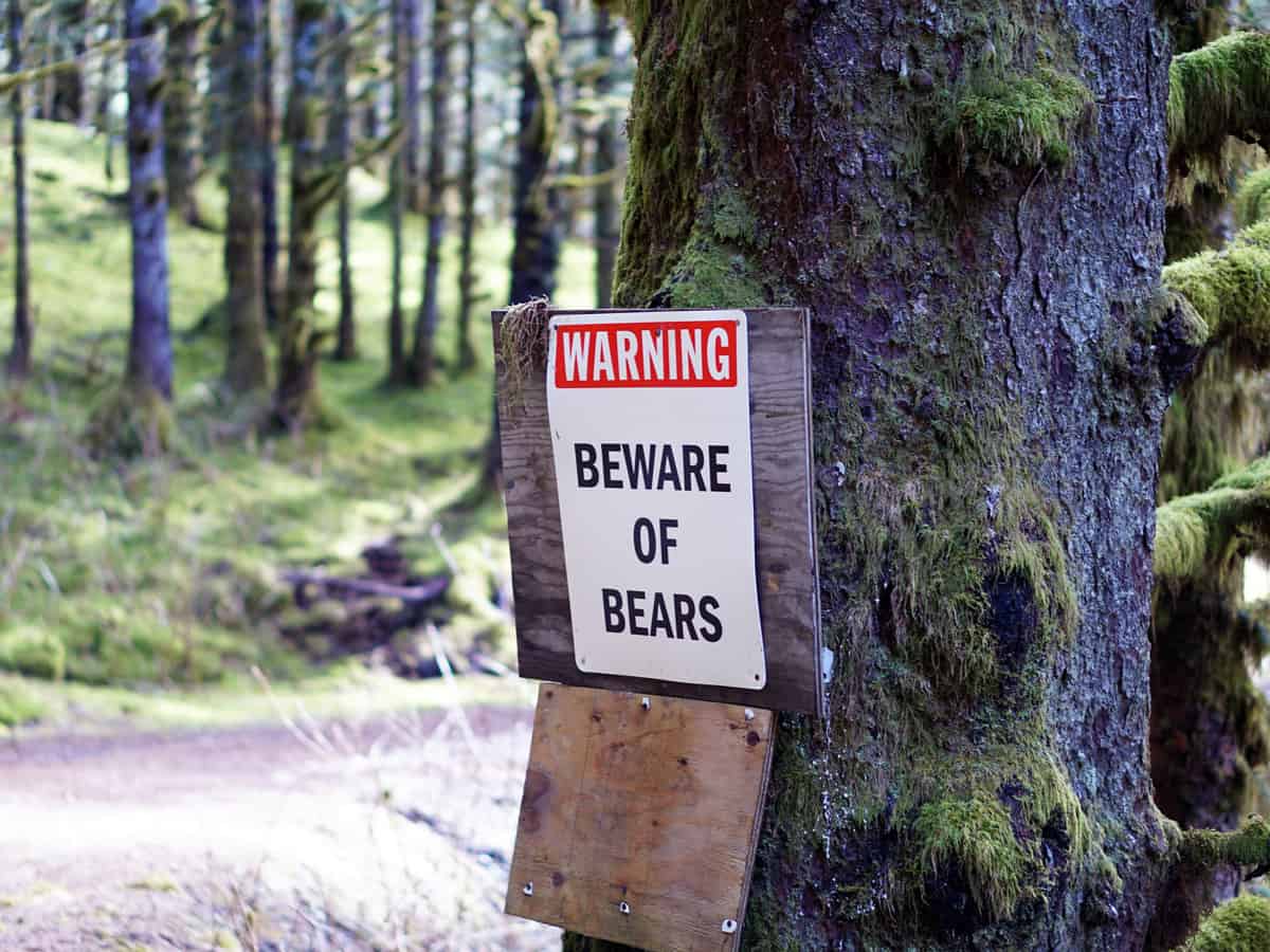 Warning Beware of bears sign on hiking trail