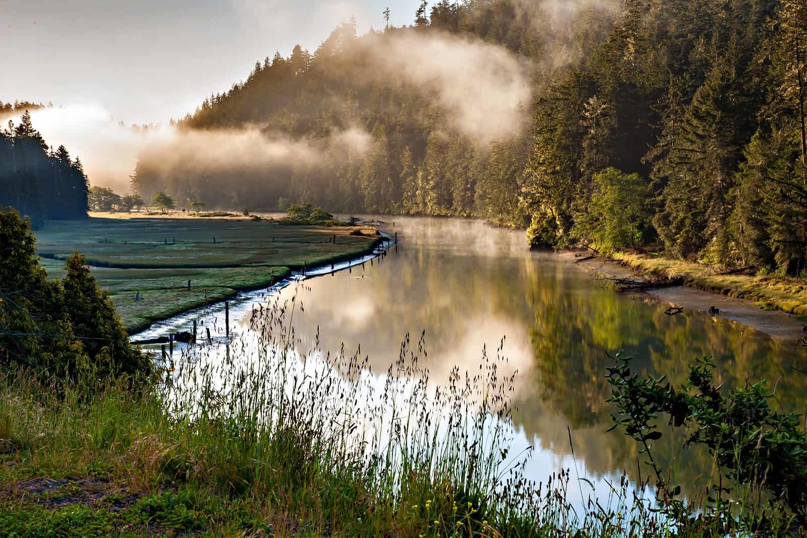 Big River on a foggy morning just upstream (east) of Mendocino, CA.