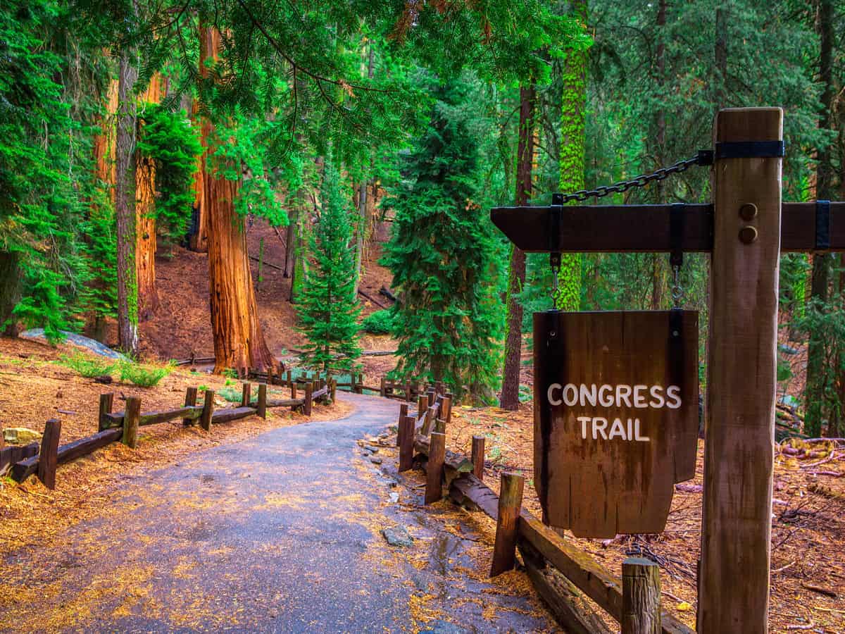 Congress Trail sign in the Giant Forest of Sequoia National Park, California. Hiking and active lifestyle concept.