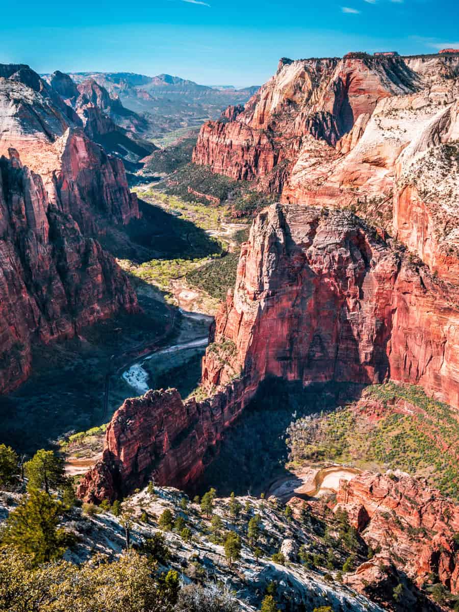 Observation Point at Zion National Park
