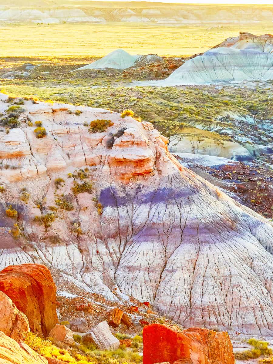 Scenic view of a landscape in the Painted Desert national park in Arizona, USA