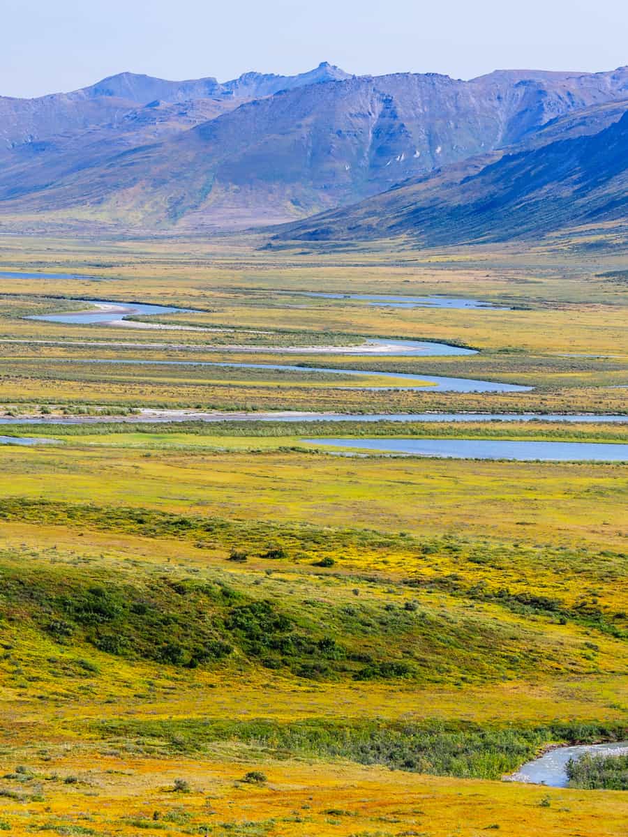 Usa, alaska, gates of the arctic national park, noatak river. oxbow bends on the upper river.