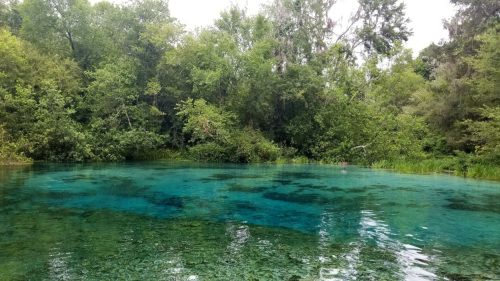 The beautiful turquoise headwaters at Ichetucknee Springs State Park